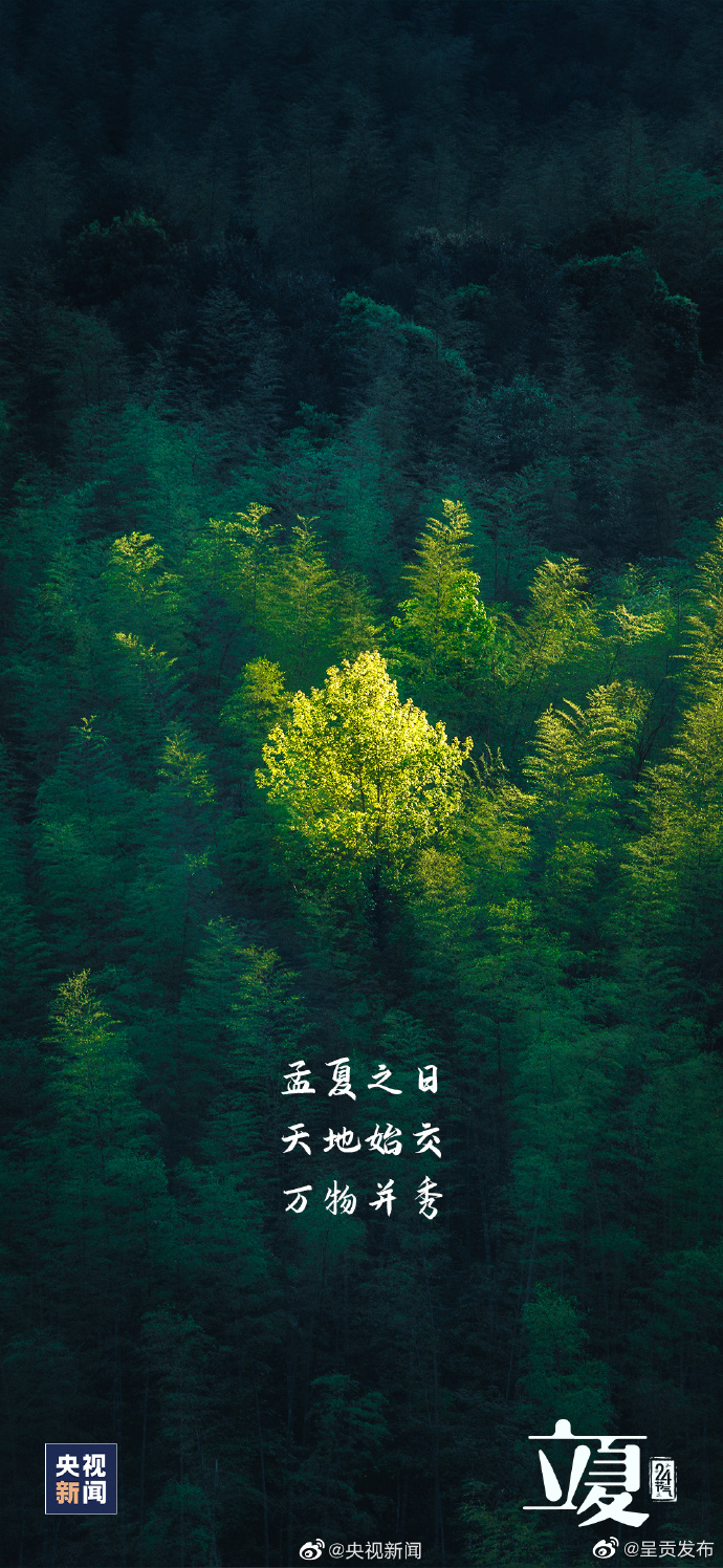 呈贡发布