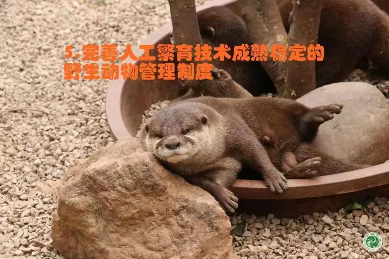昆明动物园