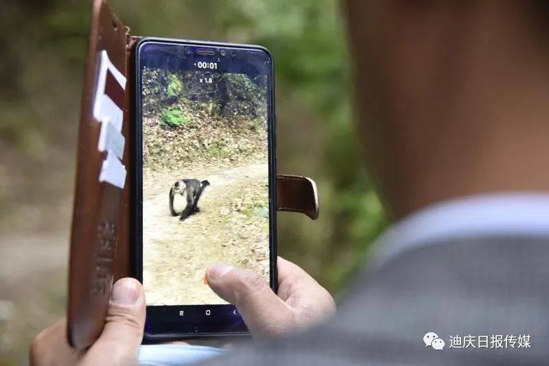 迪庆日报传媒