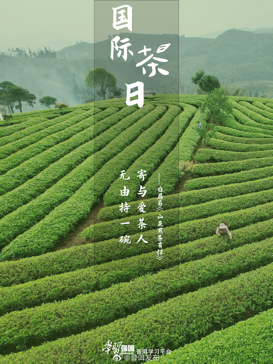 普洱发布