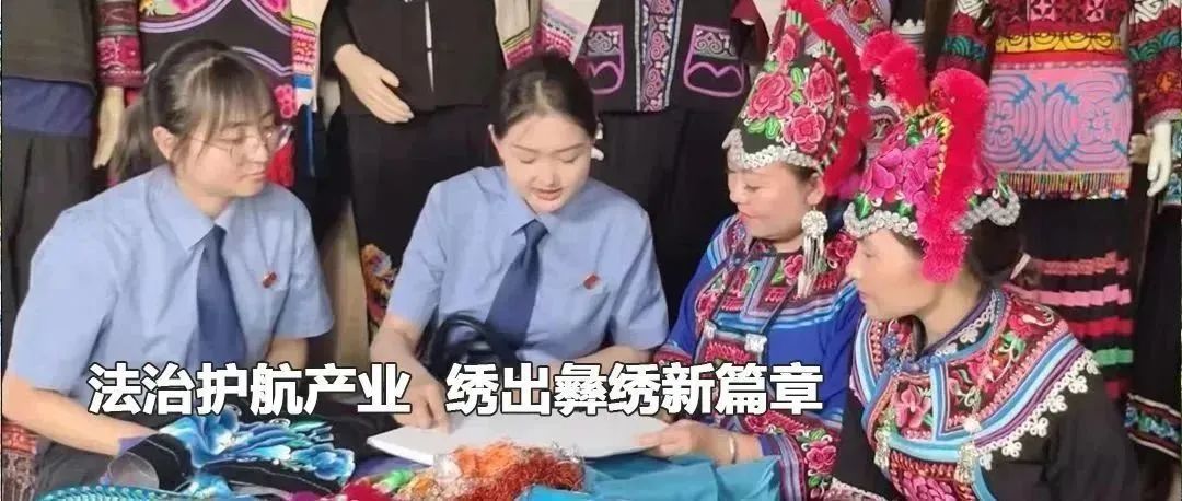 云南政法