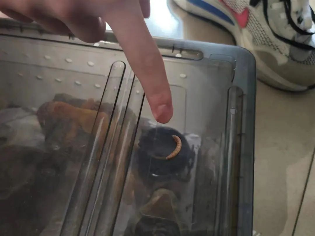 昆明信息港/cnkmxxg