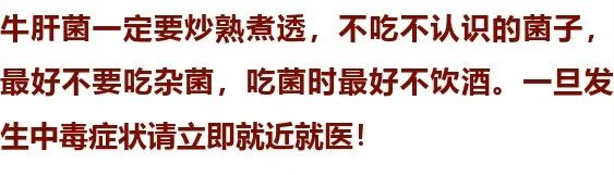 宜良之窗