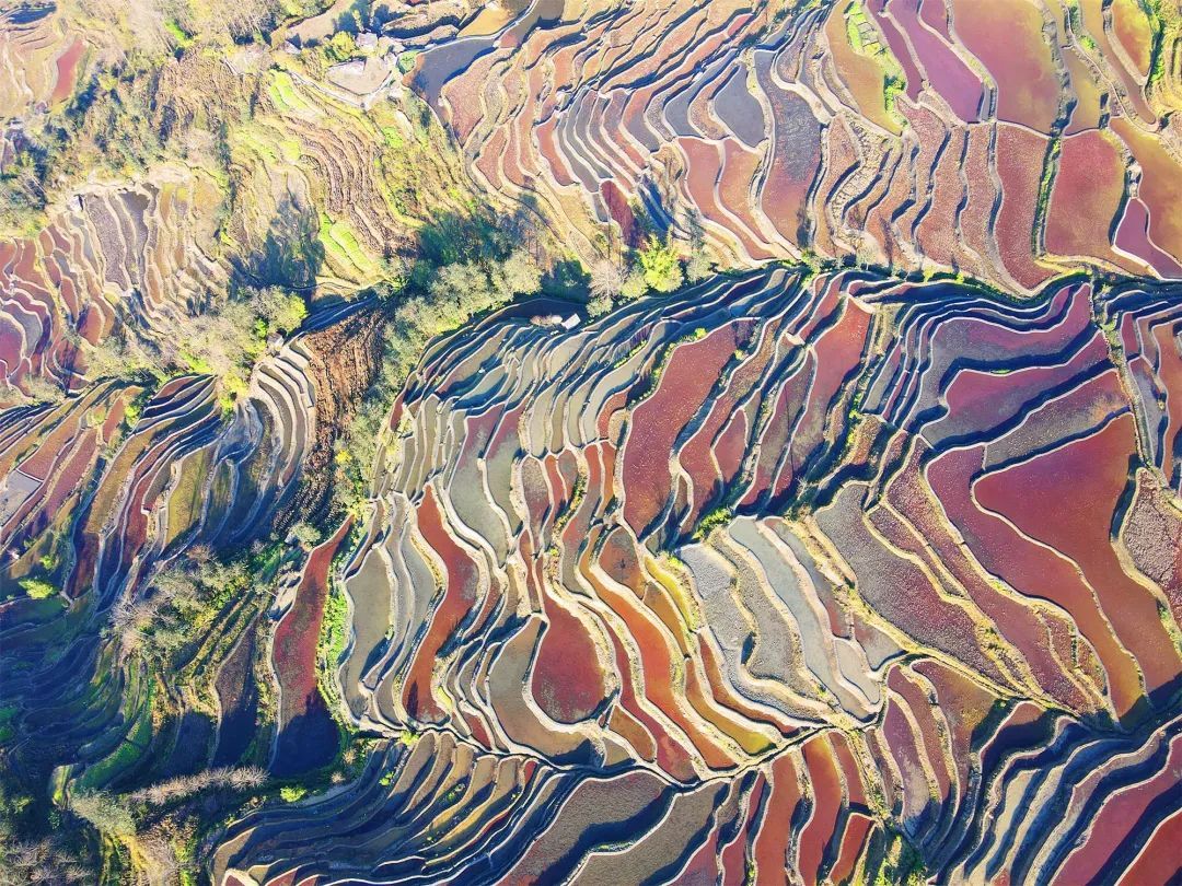 云南省文化和旅游厅