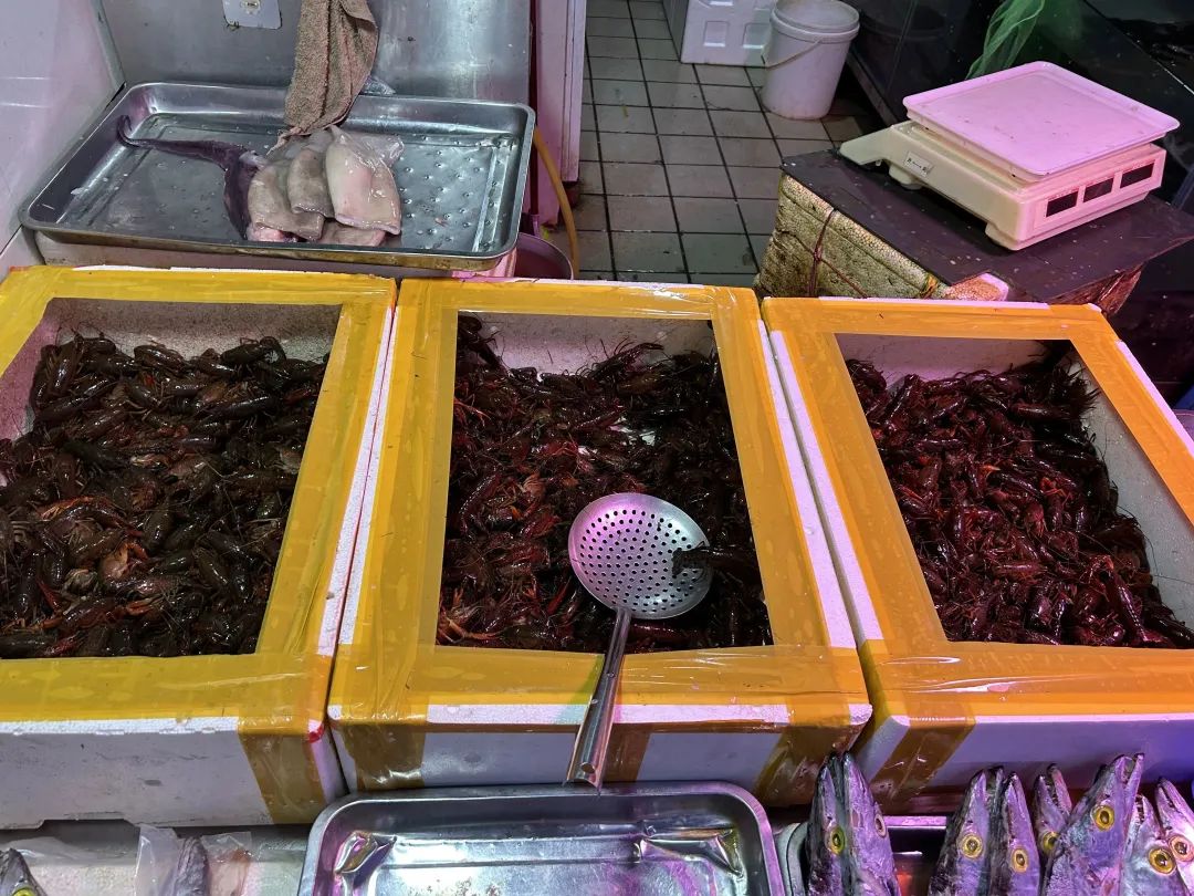 春城晚报