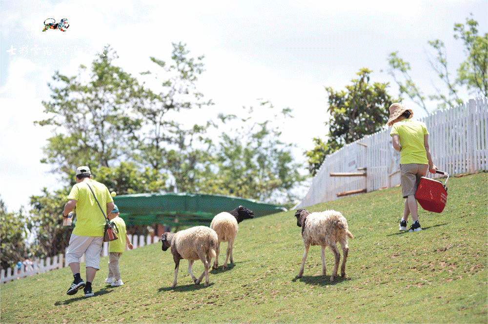 晋宁诗意的栖居地