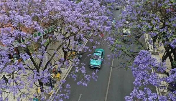 昆明文旅