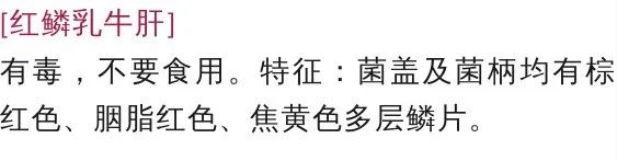 宜良之窗
