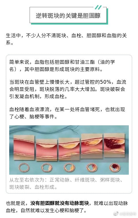 呈贡发布