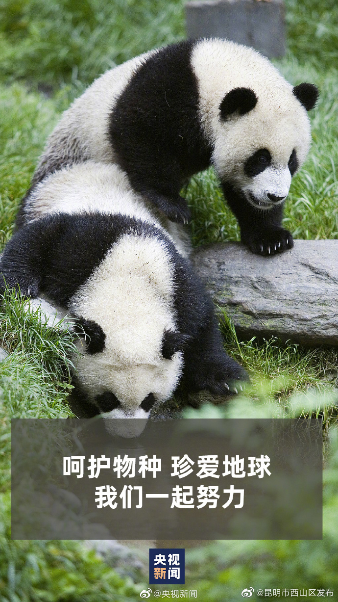 昆明市西山区发布