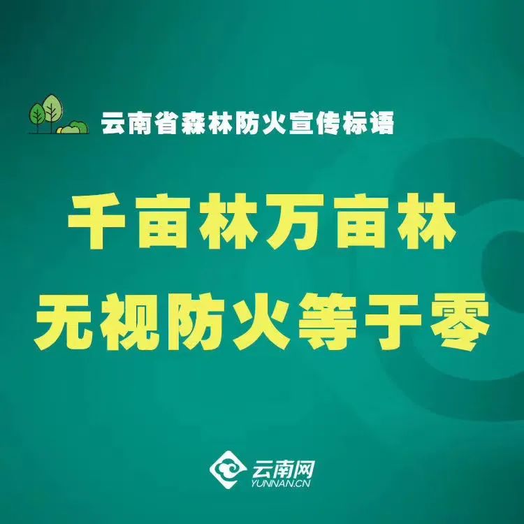 大理日报