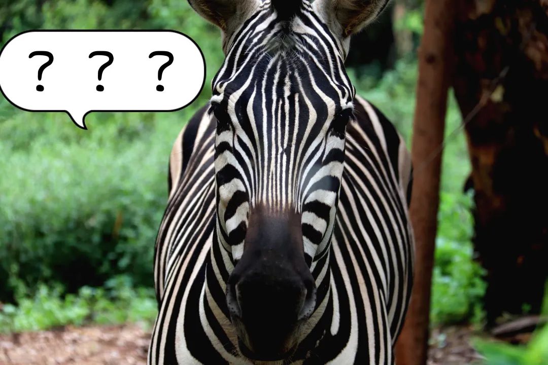 云南野生动物园