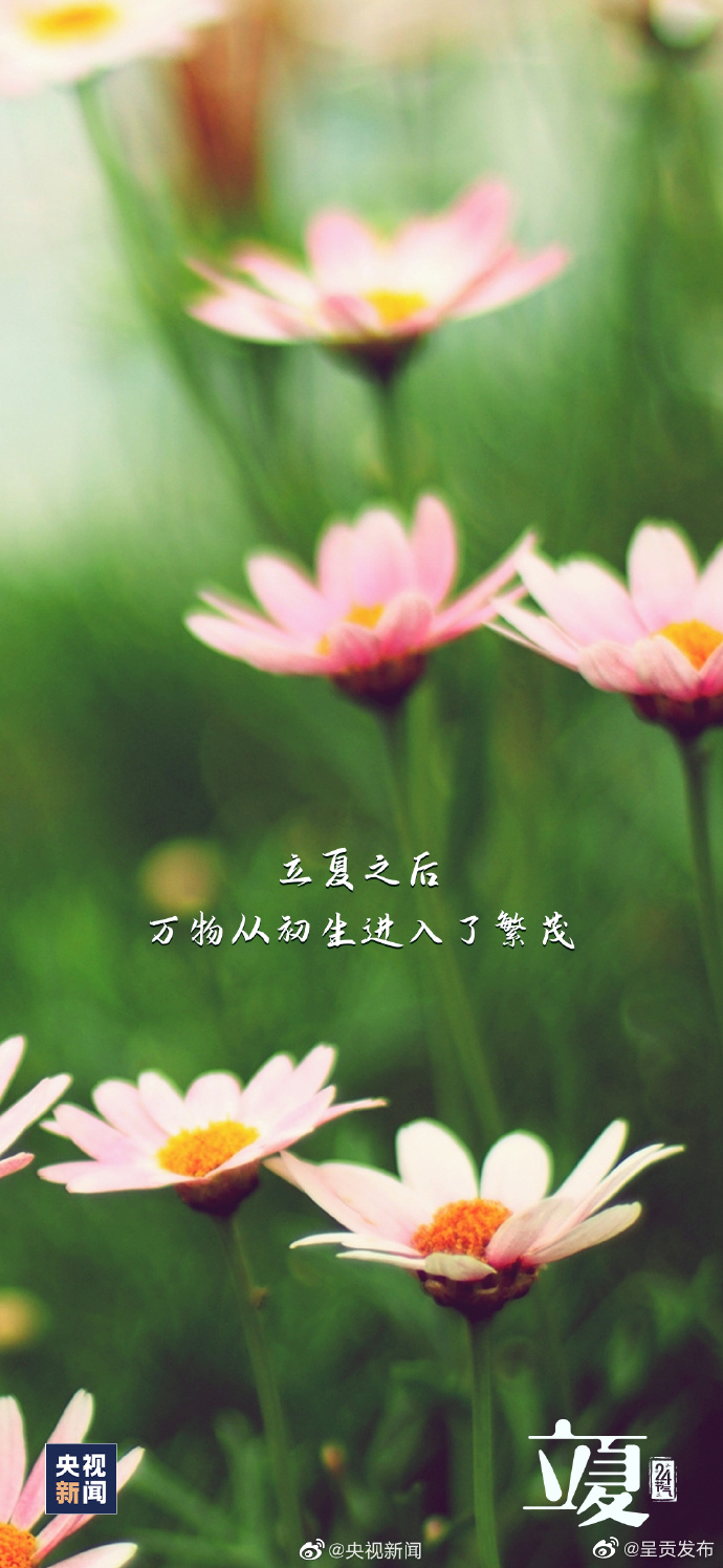 呈贡发布