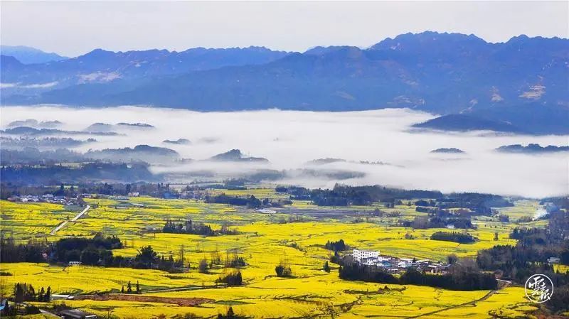 保山新闻网