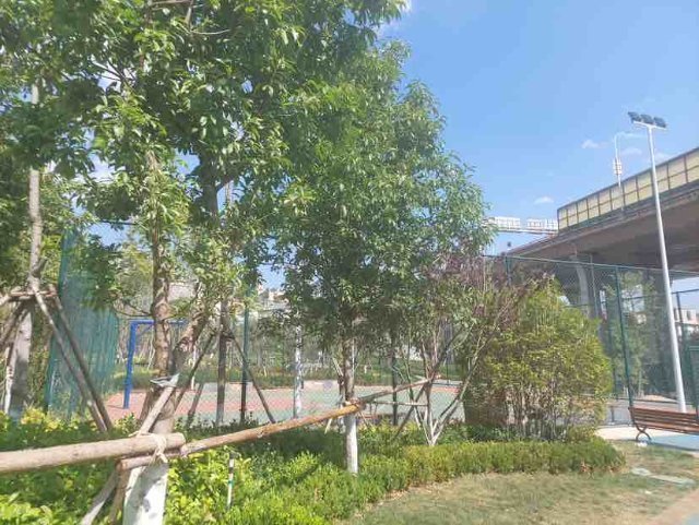 云南省文化和旅游厅