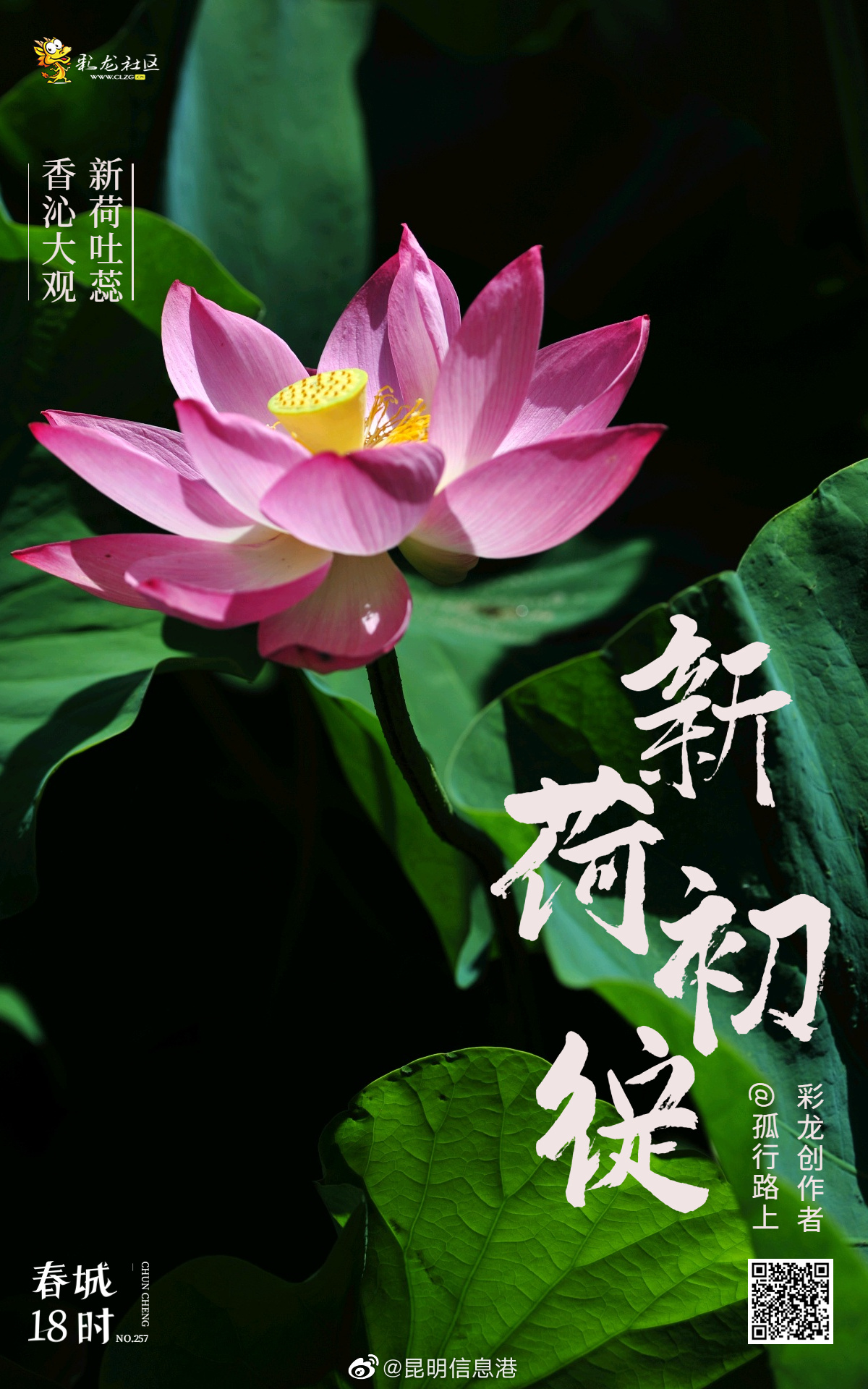 昆明信息港微博