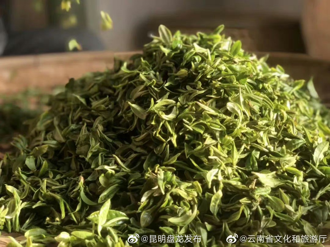 昆明盘龙发布