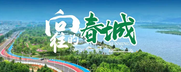 掌上春城