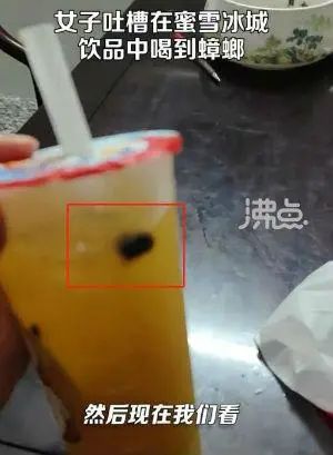 春城晚报