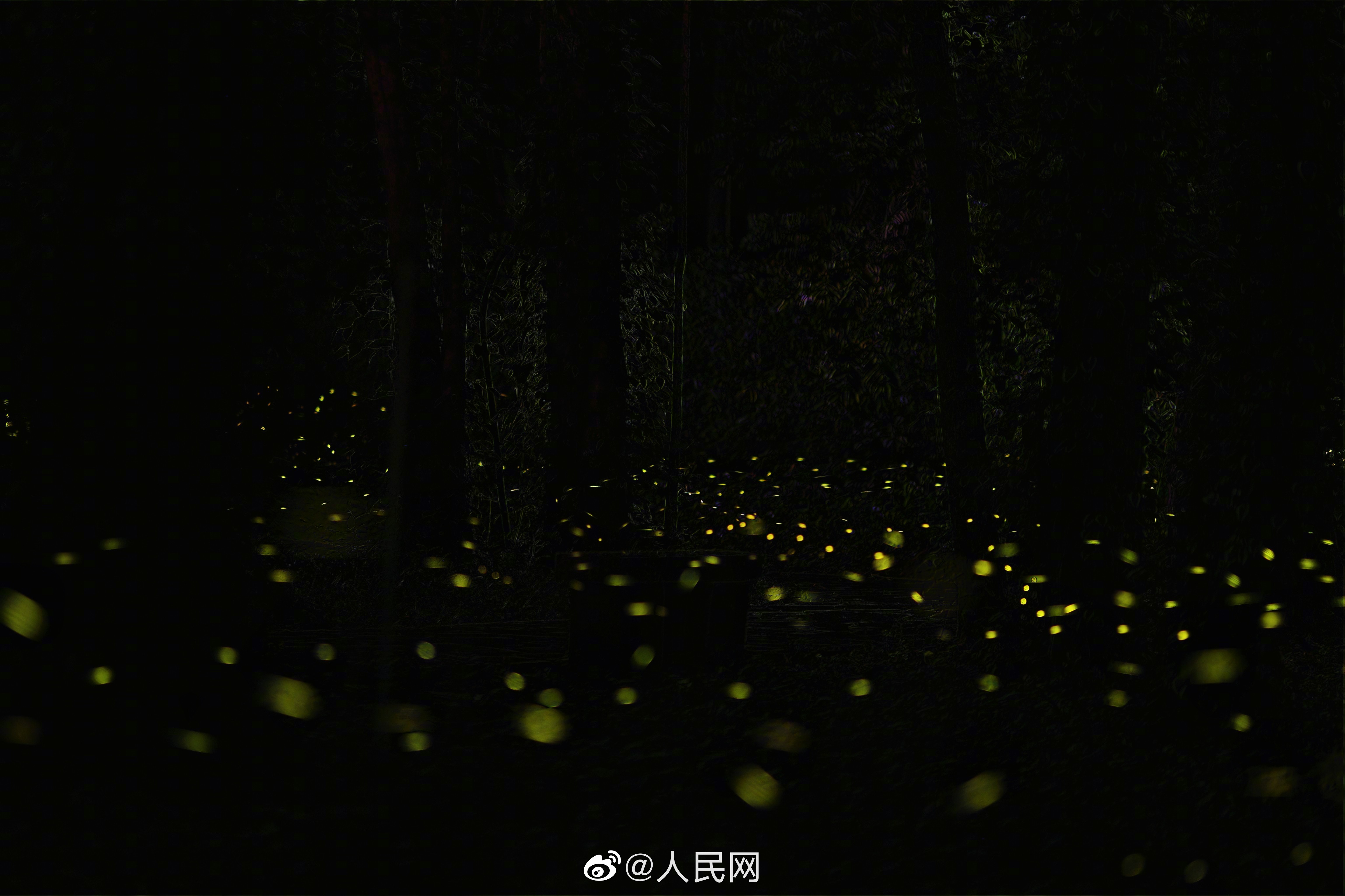 人民网