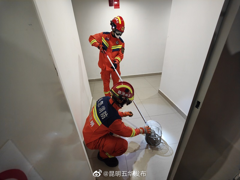 昆明五华发布