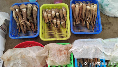 呈贡发布