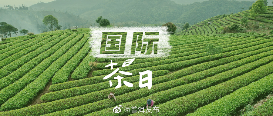 普洱发布