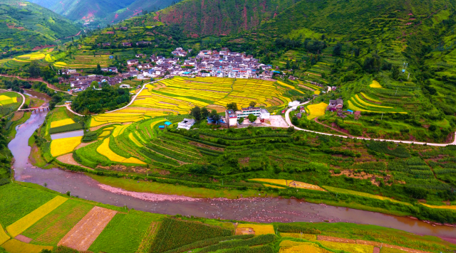 云南省文化和旅游厅