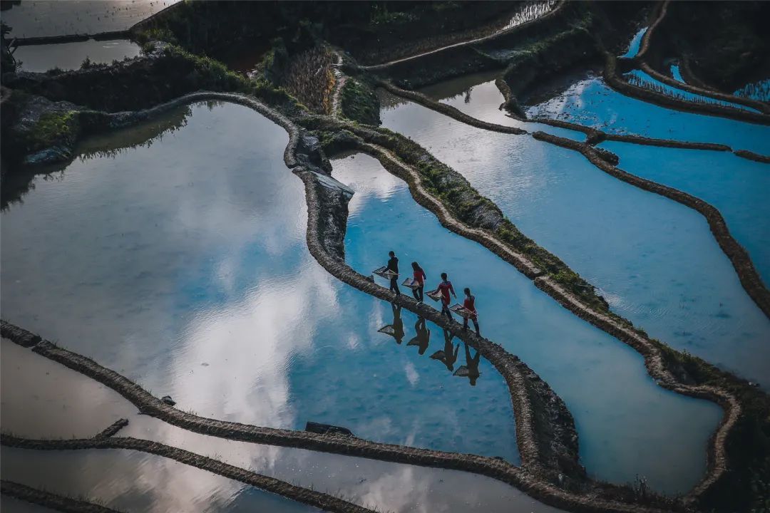 云南省文化和旅游厅