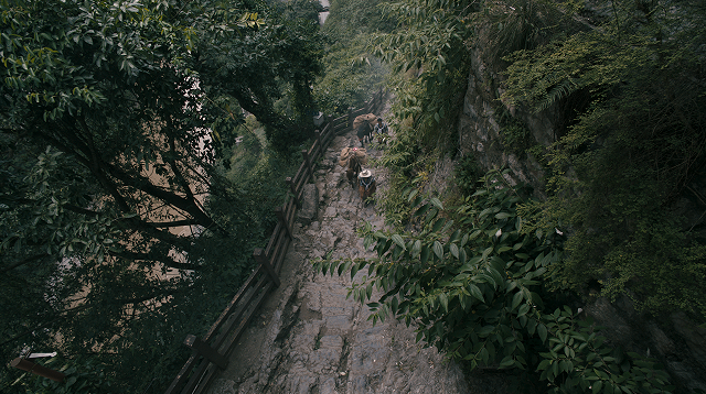 云南省文化和旅游厅
