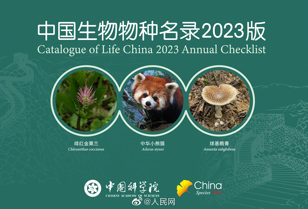 人民网