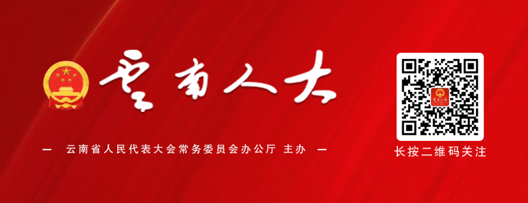 云南人大