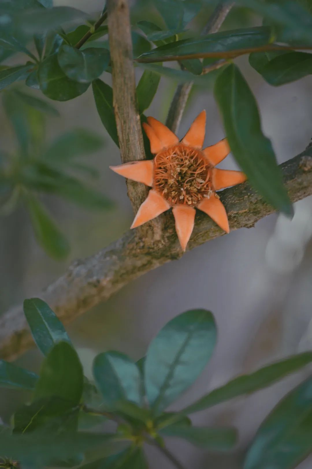 昆明市金殿名胜区