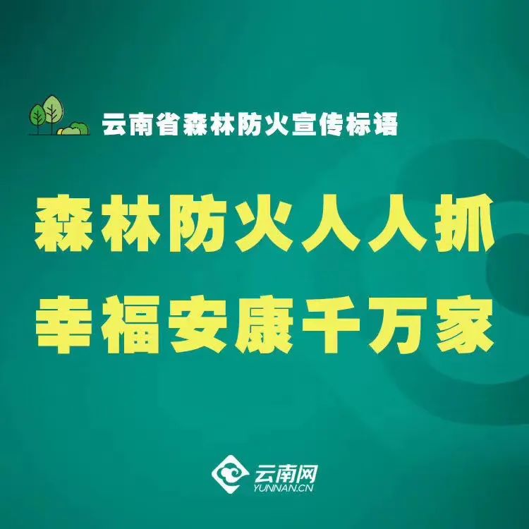 大理日报