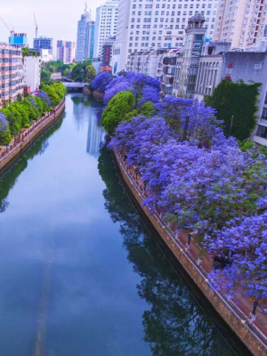 昆明市文化和旅游局