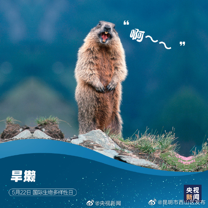 昆明市西山区发布