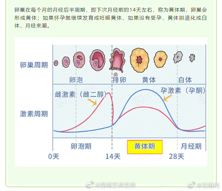 昆明五华发布