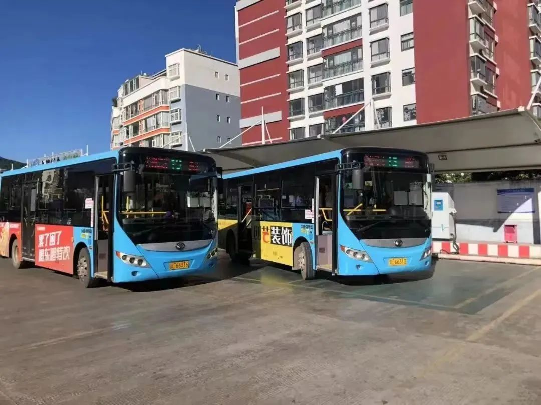 大理日报