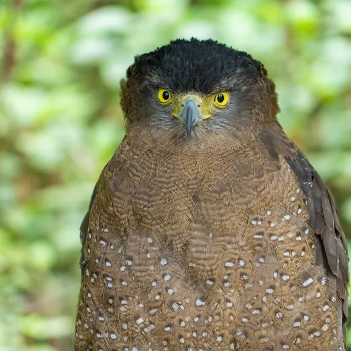 云南野生动物园