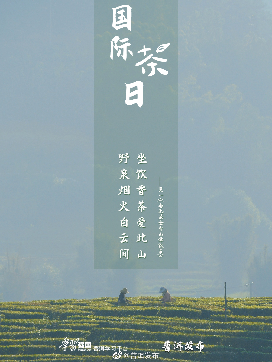 普洱发布