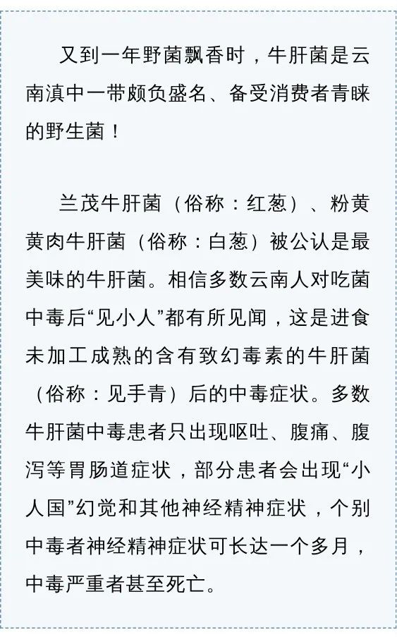 宜良之窗