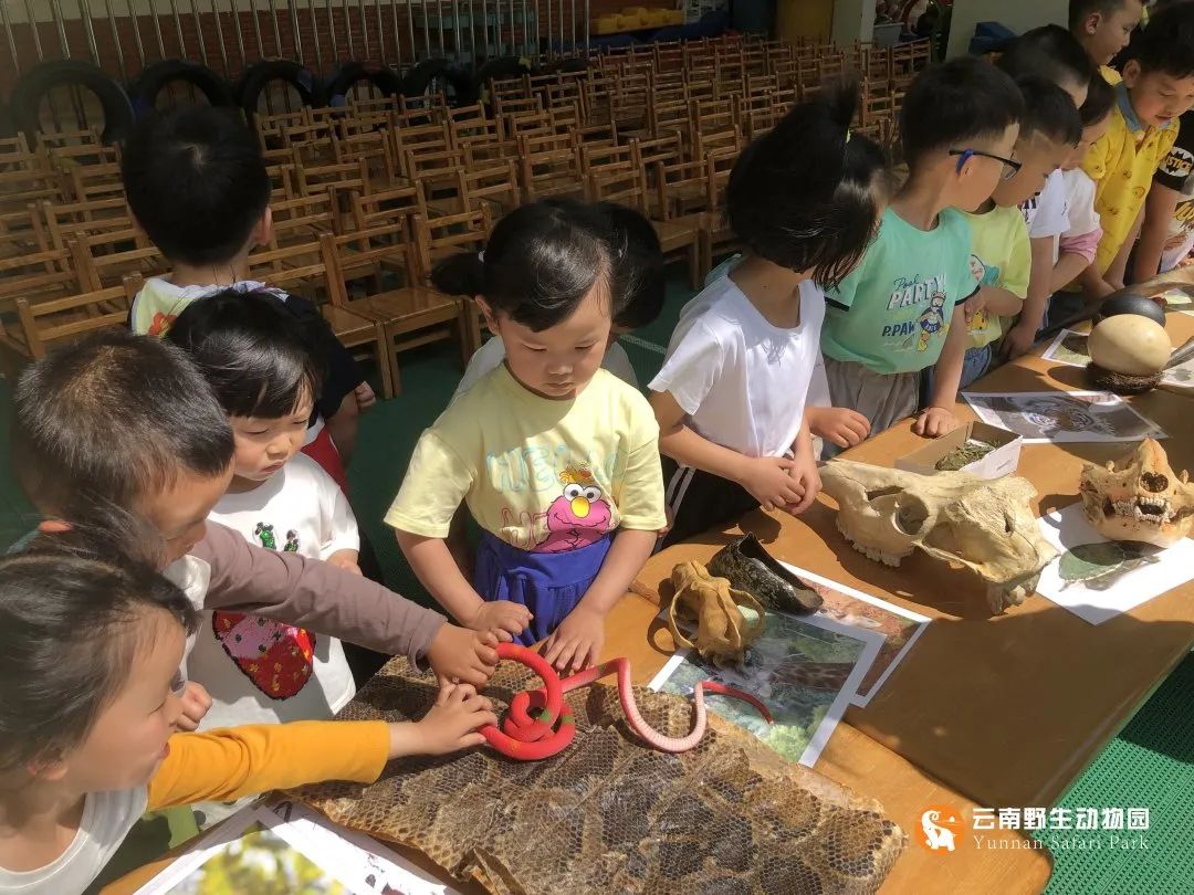 云南野生动物园