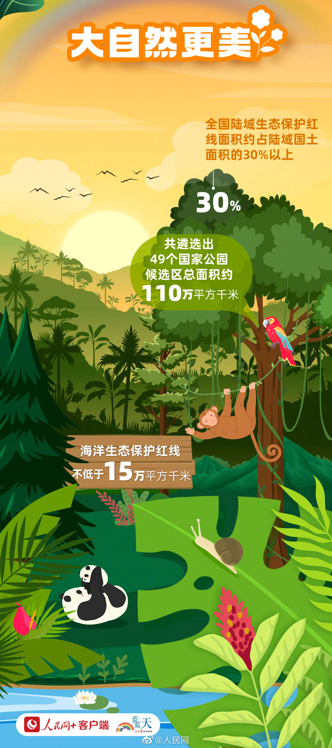 人民网