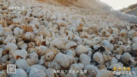 呈贡发布
