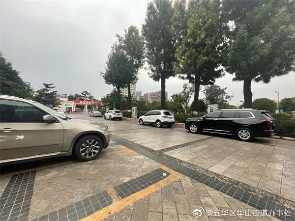 为民办实事 | 圆通山动物园周围难停车？速看！这个停车指南快收藏！