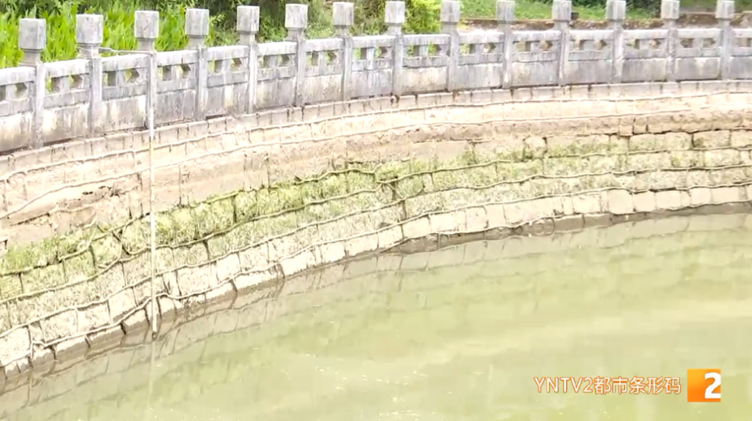 昆明信息港/cnkmxxg