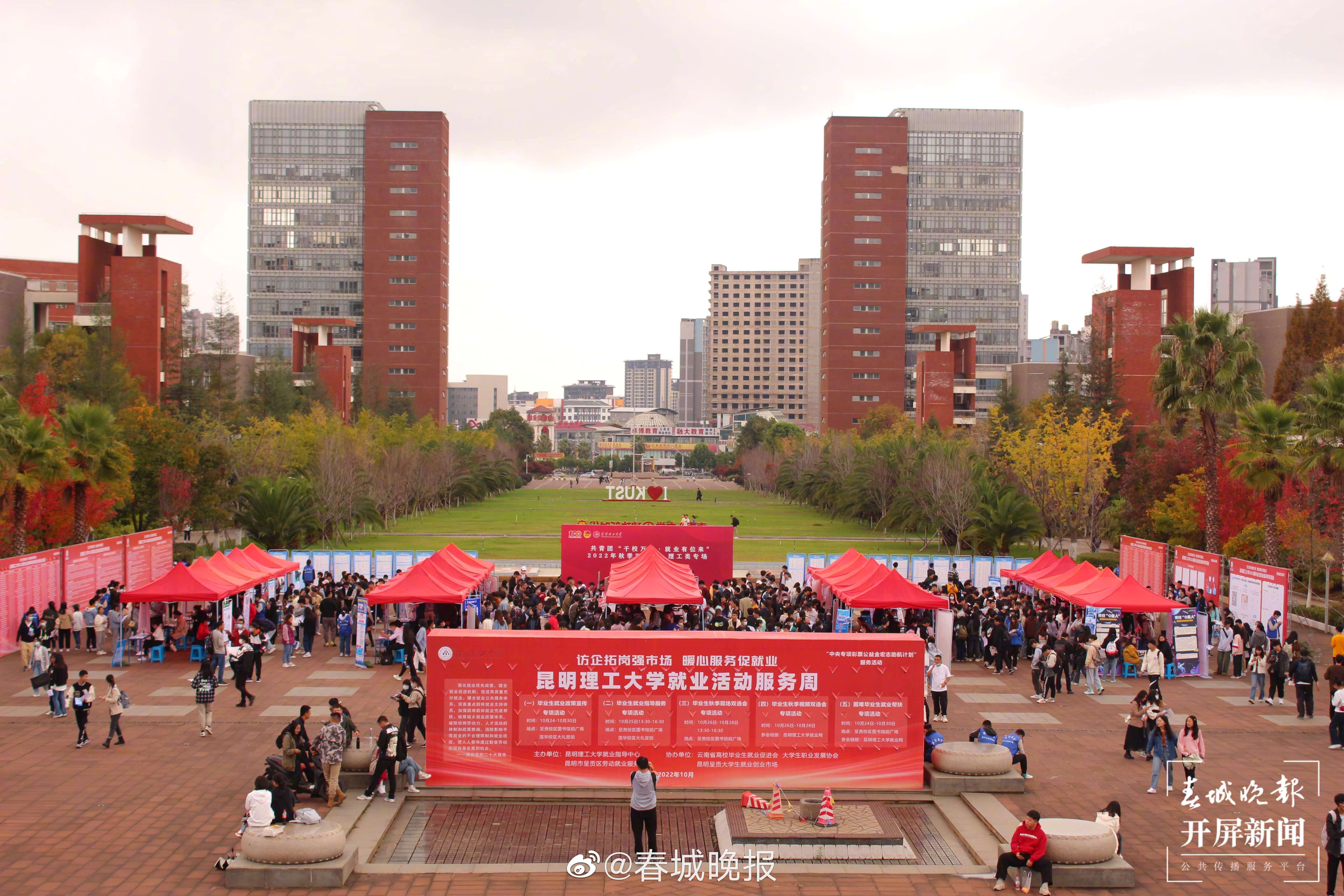 云南高校这两个专业排名全国第一