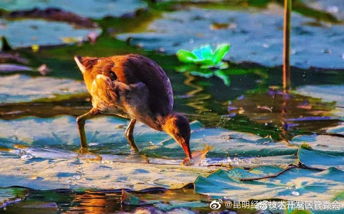 昆明经济技术开发区管委会
