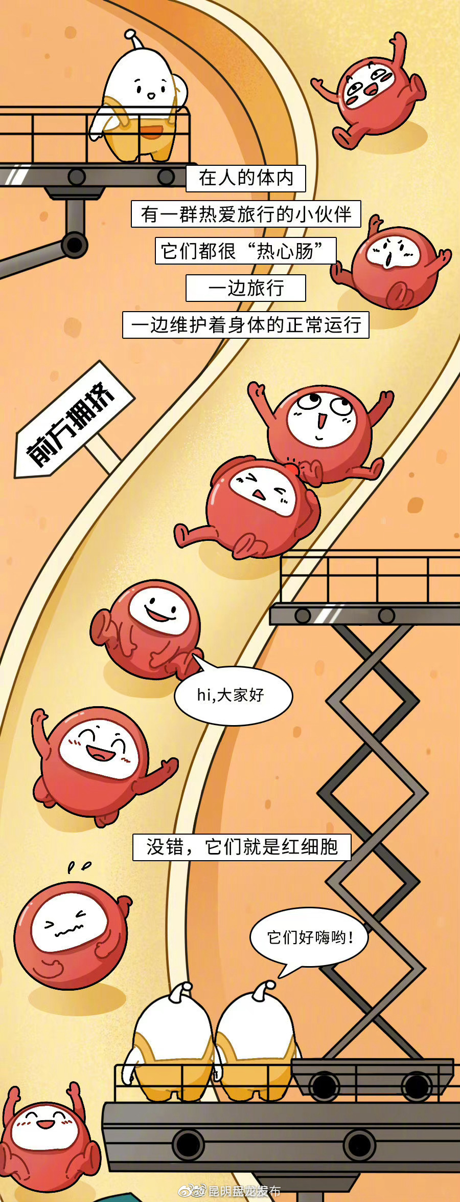 昆明盘龙发布