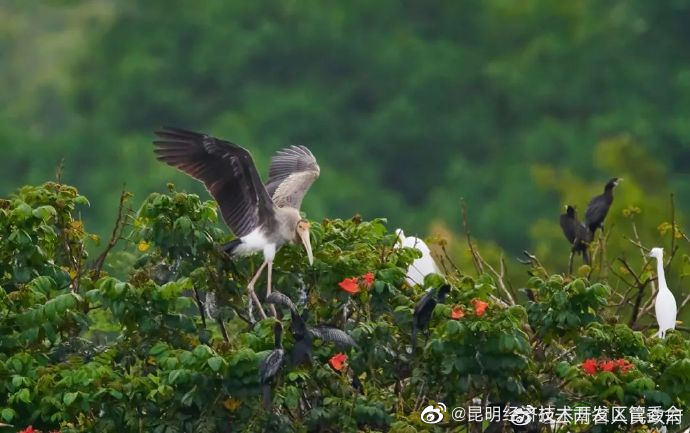 昆明经济技术开发区管委会
